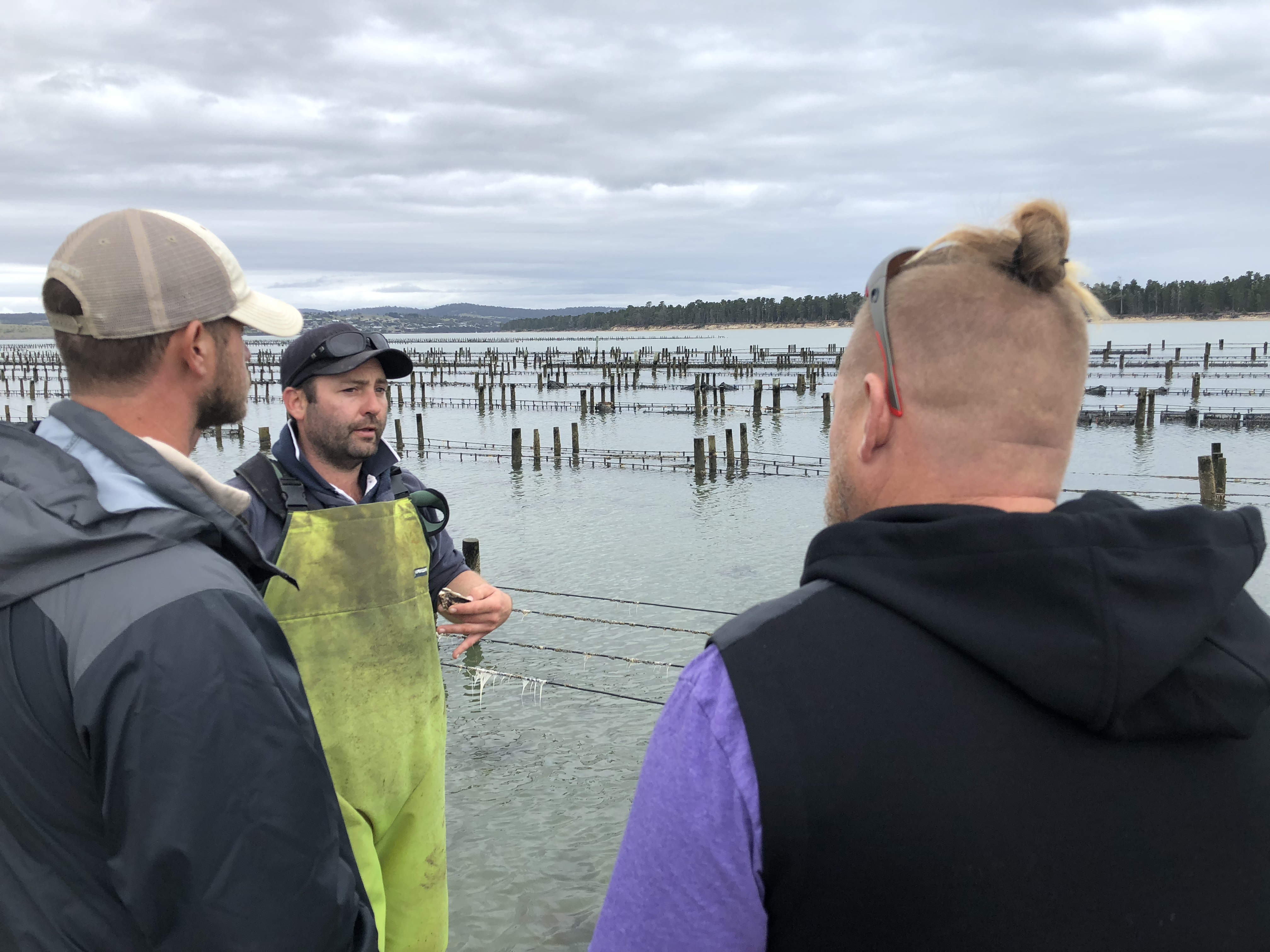 SEAPA host oysters farmers from Alabama during a tour of farms and hatcheries in Tasmania