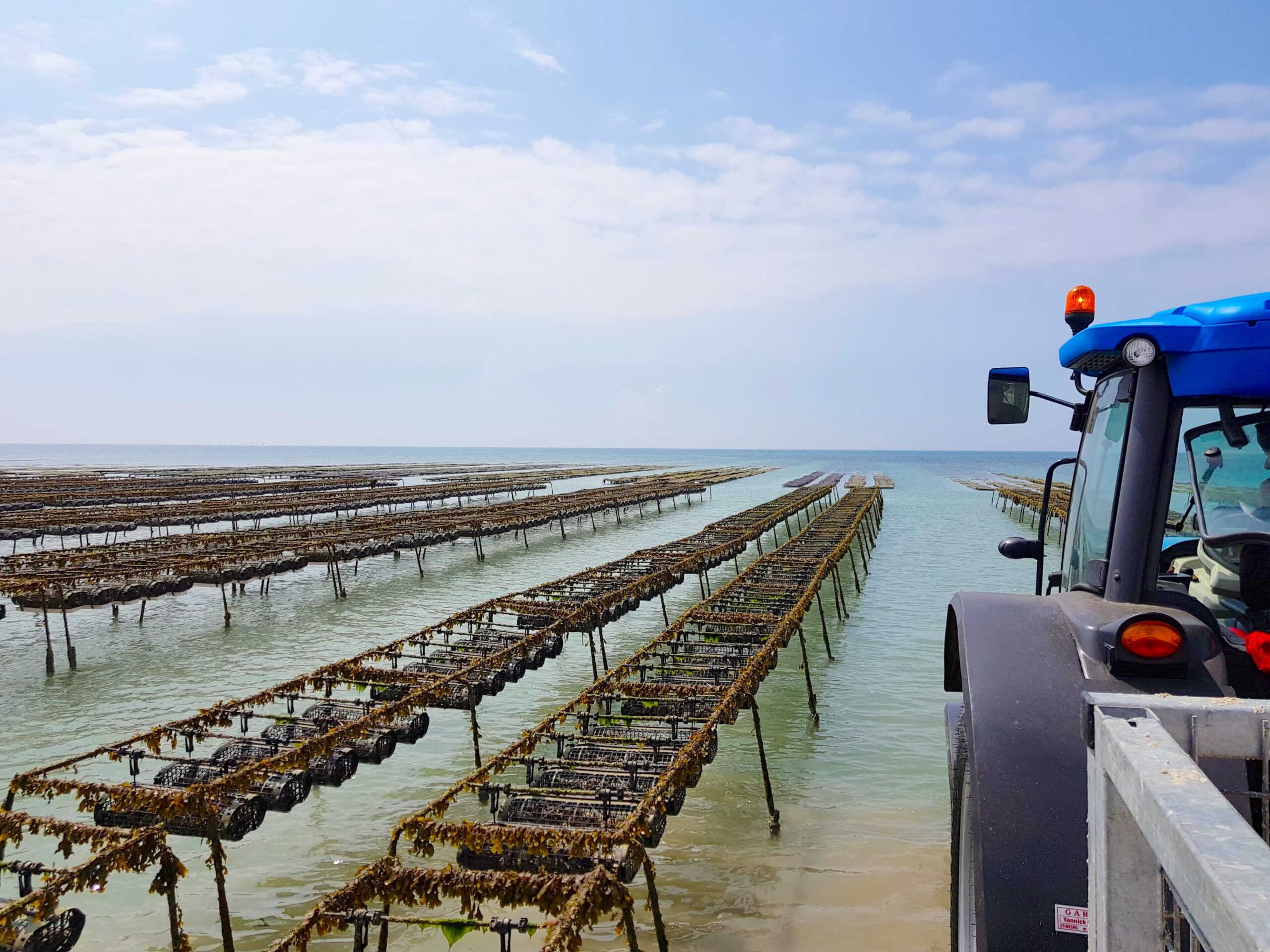 Oyster farm in Normandy